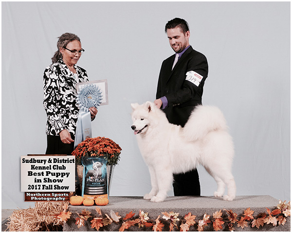 A man and woman standing next to a white dog.
