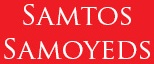 A red banner with white letters that say " amton moyer ".