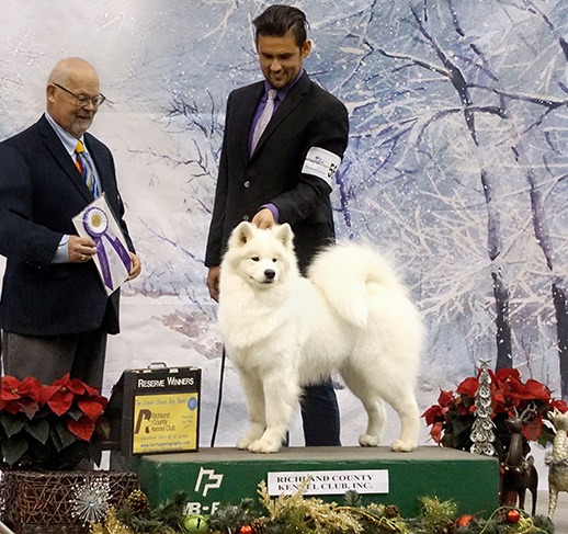 A man and his dog are standing on the podium.
