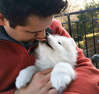 A man kissing his white dog on the cheek.