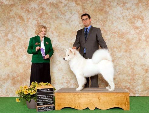 A man and woman standing next to a dog on top of a platform.